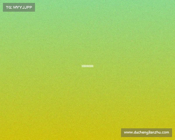 自由搏击国际比赛